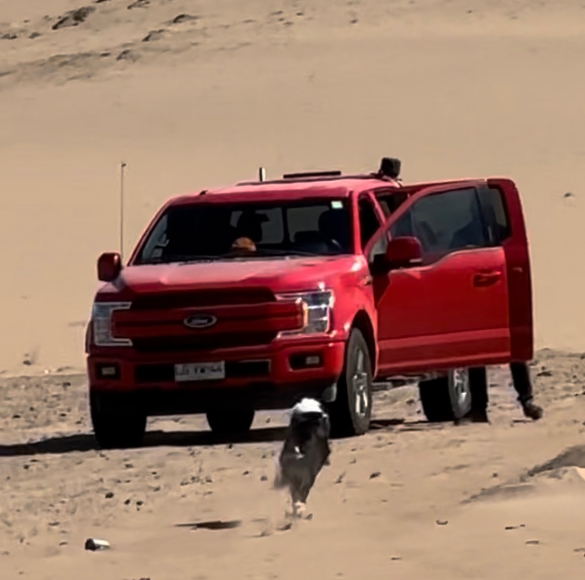 Ford F150 - Imagen 1